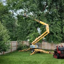 Professional Tree Removal in Sussex, WI