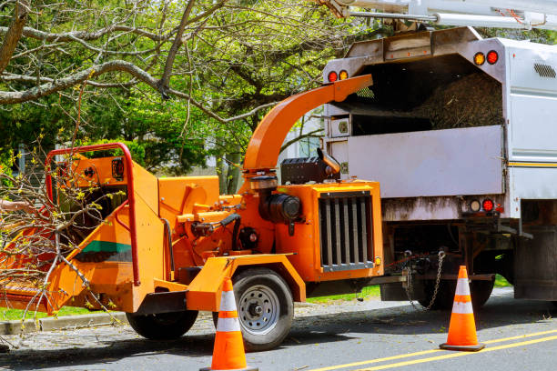 Soil Testing and Treatment in Sussex, WI